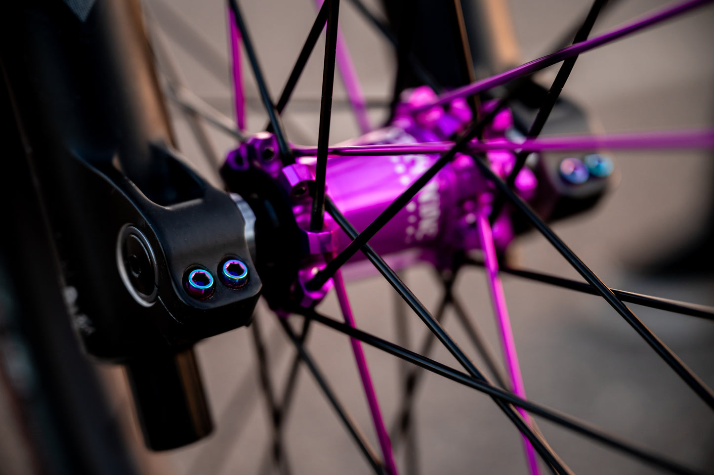 Marzocchi Bomber DJ - Titanium Bolt Kit