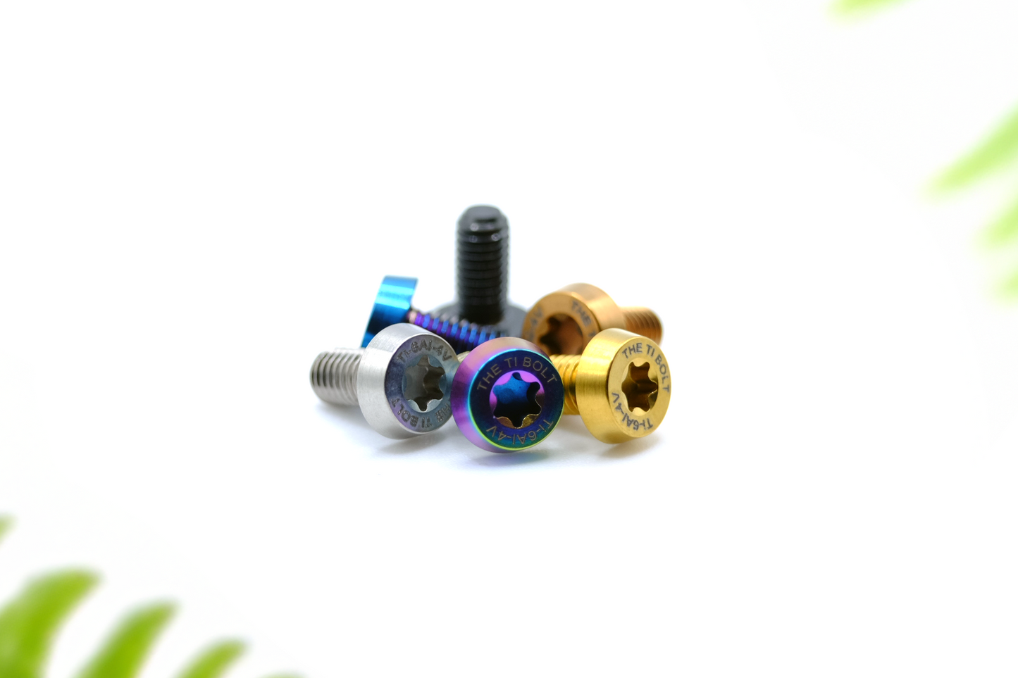 M5x10 Signature Rotor Ti-Bolt