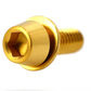 M6x18 TAPERED Wide Washer Single Titanium Bolt